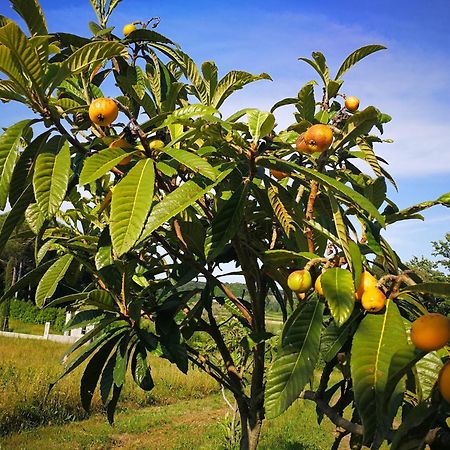 Fauglia Masseria Le Querciole מראה חיצוני תמונה