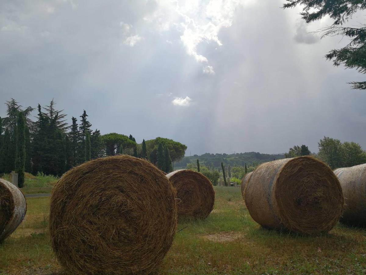 Fauglia Masseria Le Querciole מראה חיצוני תמונה