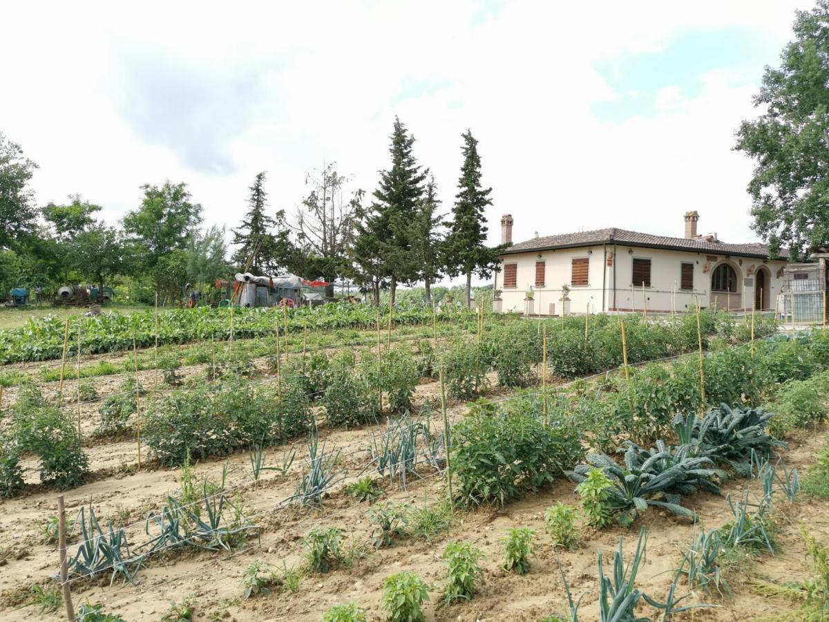 Fauglia Masseria Le Querciole מראה חיצוני תמונה