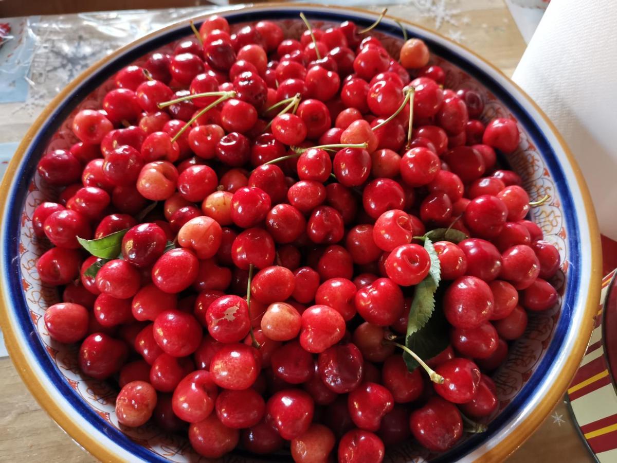 Fauglia Masseria Le Querciole מראה חיצוני תמונה