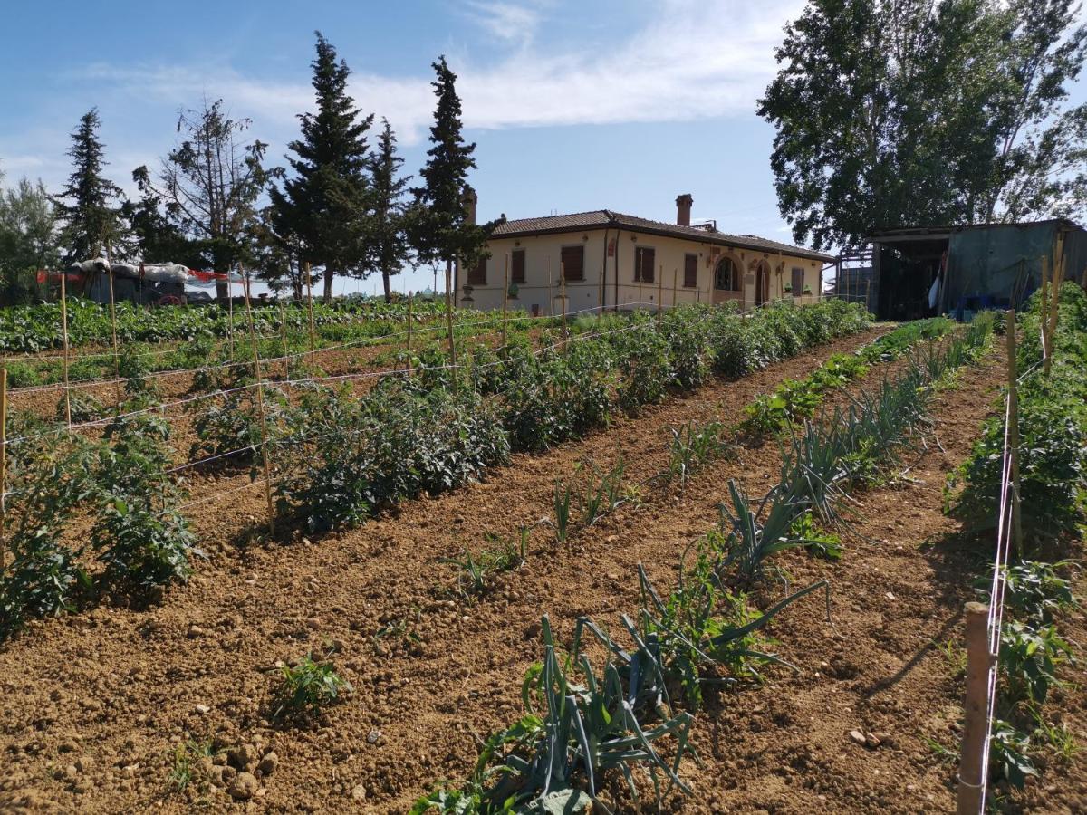 Fauglia Masseria Le Querciole מראה חיצוני תמונה