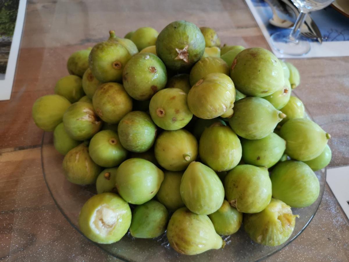 Fauglia Masseria Le Querciole מראה חיצוני תמונה